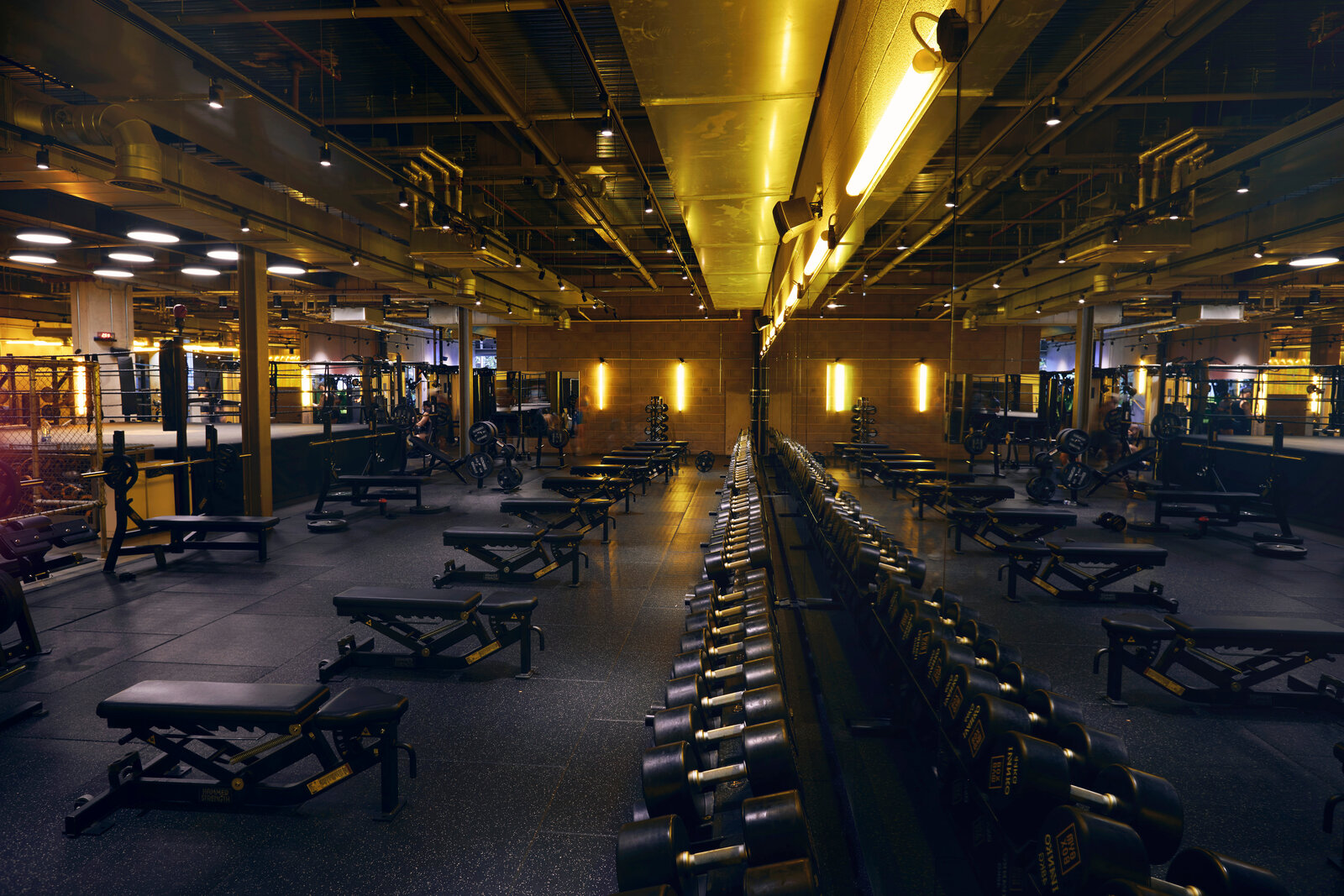 Gymbox EC